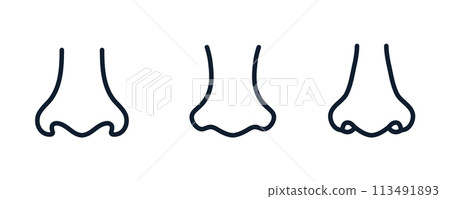 Nose line icon vector illustration. Nose smell human cartoon line icon. 113491893