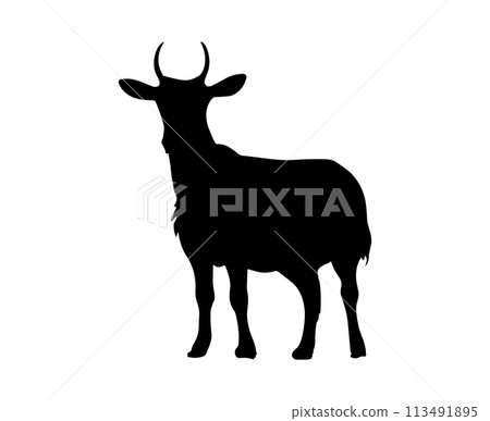 Cow silhouette character vector illustration icon. Cow logo milk pictogram beef black bull farm 113491895