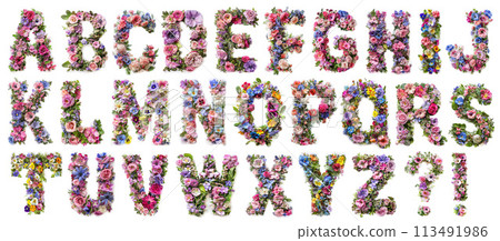 Flower font alphabet isolated on white background 113491986
