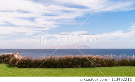 Scenic coastal view with tall grasses, a calm sea, and a distant island under blue skies. Scenic coastal view with tall grasses, a calm sea, and a distant island under blue skies. 113492218