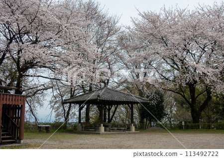 Spring at Minowa Castle: Observation Deck at the Ninomaru Ruins Spring at Minowa Castle: Observation Deck at the Ninomaru Ruins 113492722