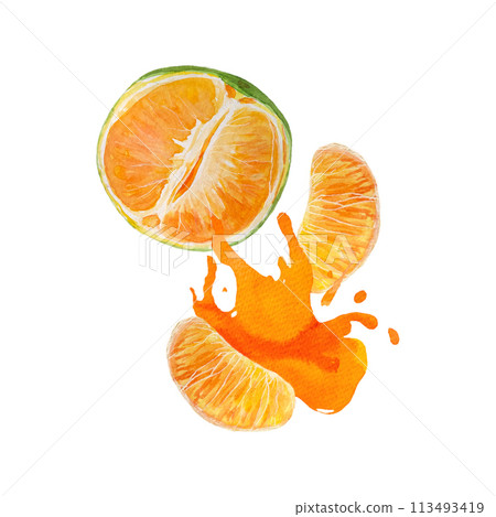 Green orange, fruit slice, color splash watercolor composition isolated on white background, hand drawn for food design. Packages, restaurant and cafe menu, natural organic food, label, logo and decor Green orange, fruit slice, color splash watercolor composition isolated on white background, hand drawn for food design. Packages, restaurant and cafe menu, natural organic food, label, logo and decor 113493419
