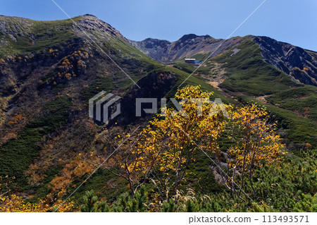 從馬背上眺望秋天的南阿爾卑斯山和千疊岳 113493571