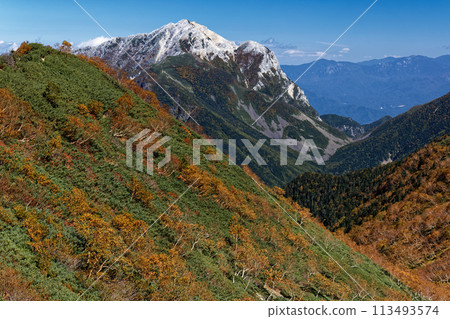 南阿爾卑斯千城岳與凱駒岳的黃樺葉 113493574