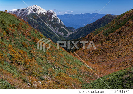 南阿爾卑斯千城岳與凱駒岳的黃樺葉 113493575