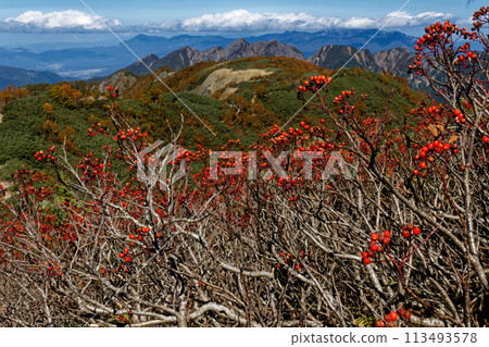 南阿爾卑斯山千疊岳、馬之瀨山、能古垣山的羅文莓景觀 113493578