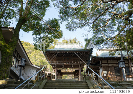 Shigaumi Shrine's Tower Gate (Fukuoka City, Fukuoka Prefecture/December 2023) Shigaumi Shrine's Tower Gate (Fukuoka City, Fukuoka Prefecture/December 2023) 113493629