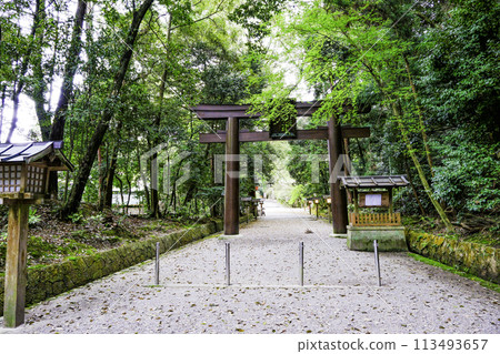 石上神社大鳥居和參道 113493657