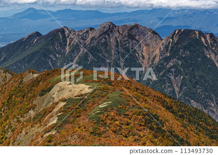 Southern Alps, Mount Senjo, Mount Umanose, and the yellow leaves of Erman's birch 113493730