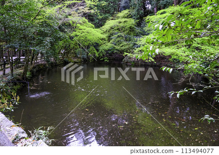 石神神社加賀美池 113494077