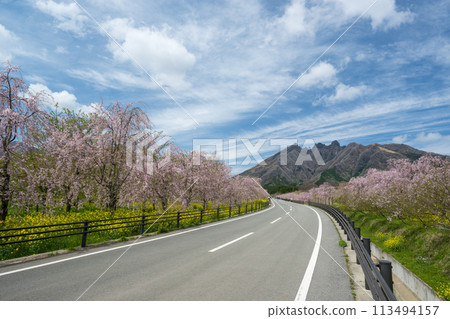 從阿蘇高森看到的貓山和盛開的櫻花很美 113494157