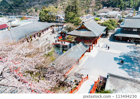 Spring Shrine Spring Shrine 113494230