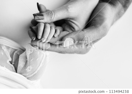 Close-up little hand of child and palm of mother and father. The newborn baby has a firm grip on the parent's finger after birth. A newborn holds on to mom's, dad's finger. Black and white photo.  113494238