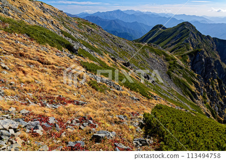 南阿爾卑斯山千疊嶽山脊線和南部山脈的秋葉 113494758