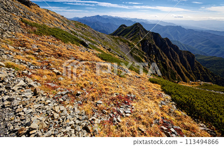 Autumn foliage along the ridge of Mount Senjo in the Southern Alps and the southern mountain range Autumn foliage along the ridge of Mount Senjo in the Southern Alps and the southern mountain range 113494866