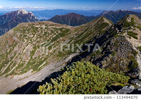 Mount Kaikoma, Hayakawa Ridge, and Mount Houou seen from Mount Senjo in the Southern Alps Mount Kaikoma, Hayakawa Ridge, and Mount Houou seen from Mount Senjo in the Southern Alps 113494870