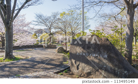 [千葉縣千葉市]大湯野蕎麥麵公園和櫻花 113495149