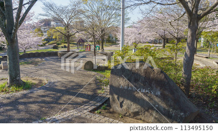 [千葉縣千葉市]大湯野蕎麥麵公園和櫻花 113495150
