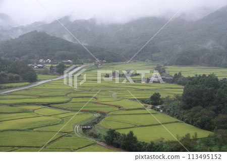 今年豐收 113495152