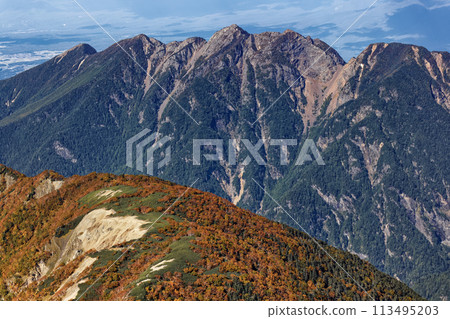 The yellow leaves of the Erman's birch and Mt. Nokogiri seen from Mt. Senjogatake in the Southern Alps 113495203
