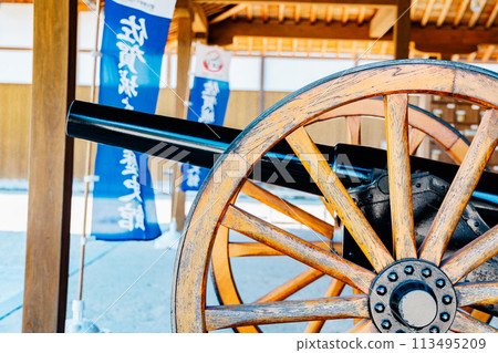 Cannons on display at the Saga Castle ruins 113495209