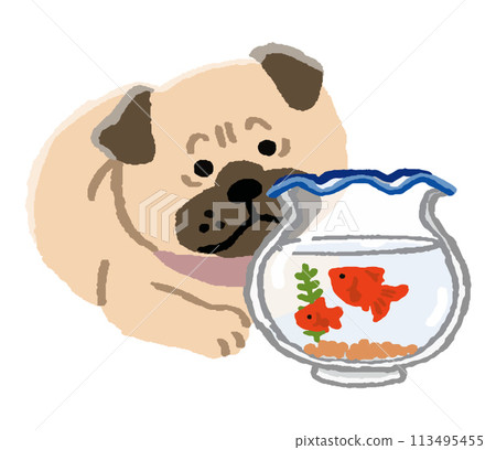 哈巴狗和金魚 哈巴狗和金魚 113495455