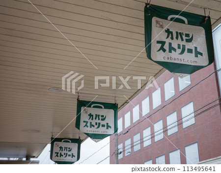 Bag Street in Toyooka City, Hyogo Prefecture 113495641