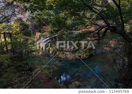 Autumn in Okutama, Tokyo: Autumn leaves in Hikawa Valley 113495769