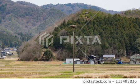 A stork laying eggs in an artificial nest tower at the Stork Village Park in Toyooka City, Hyogo Prefecture. A stork laying eggs in an artificial nest tower at the Stork Village Park in Toyooka City, Hyogo Prefecture. 113495836