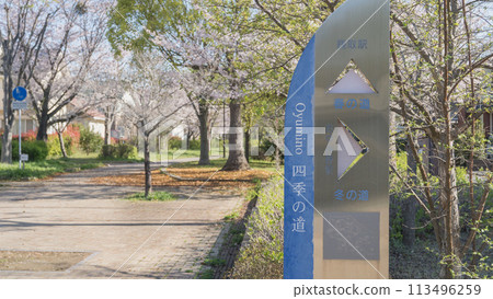 [Chiba City, Chiba Prefecture] Oyumino Shiki no Michi Spring Road 113496259