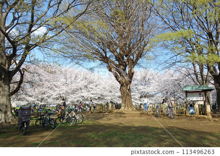 Musashi Kokubunji Seven-storied Pagoda Ruins 113496263