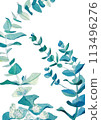Lush green eucalyptus branches and leaves 01 113496276
