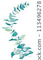 Lush green eucalyptus branches and leaves 01 113496278