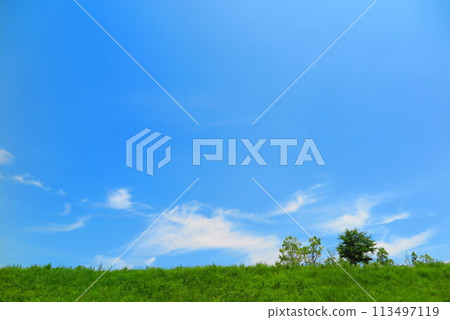 Landscape 5 of a hill with blue sky, white clouds, green trees and lush grass Landscape 5 of a hill with blue sky, white clouds, green trees and lush grass 113497119