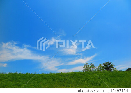 Scenery 19 of a hill with blue sky, white clouds, green trees and lush grass Scenery 19 of a hill with blue sky, white clouds, green trees and lush grass 113497154