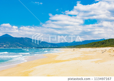 彩虹松林和壯麗的大海 彩虹松林和壯麗的大海 113497167