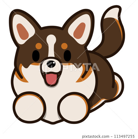 奔跑尾巴的柯基犬（三色） 113497255