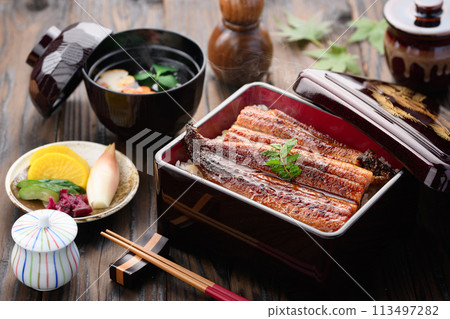 奢華且充滿活力的鰻魚飯 奢華且充滿活力的鰻魚飯 113497282