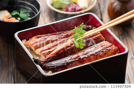 奢華且充滿活力的鰻魚飯 奢華且充滿活力的鰻魚飯 113497304