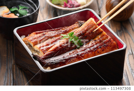 奢華且充滿活力的鰻魚飯 奢華且充滿活力的鰻魚飯 113497308