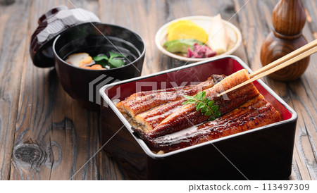 奢華且充滿活力的鰻魚飯 奢華且充滿活力的鰻魚飯 113497309