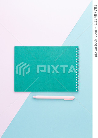 Emerald spiral notebook with pink pen. 113497793
