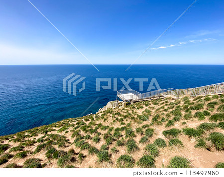 The deep blue sea of Teuri Island and the spectacular view of Akaiwa Observatory The deep blue sea of Teuri Island and the spectacular view of Akaiwa Observatory 113497960