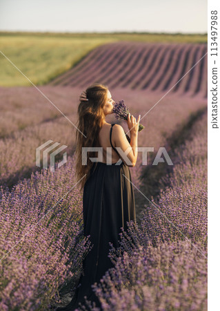 woman stands in a lavender field of purple flowers, holding a bouquet of flowers. The scene is serene and peaceful, with the woman taking a moment to enjoy the beauty of nature. 113497988
