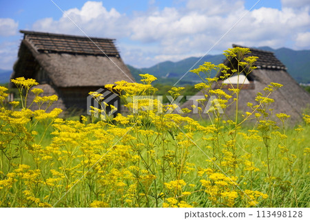 吉野裡遺跡的大名石 吉野裡遺跡的大名石 113498128