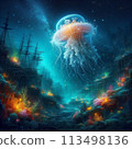 Mysterious jellyfish 113498136