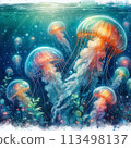 Landscape with jellyfish 113498137