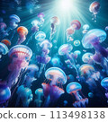 Jellyfish illuminated by light 113498138