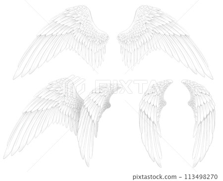 白色翅膀和平愛天使神女神 113498270