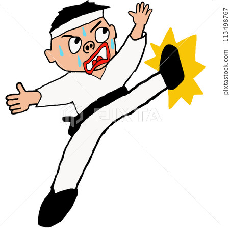 A fighting karateka 113498767